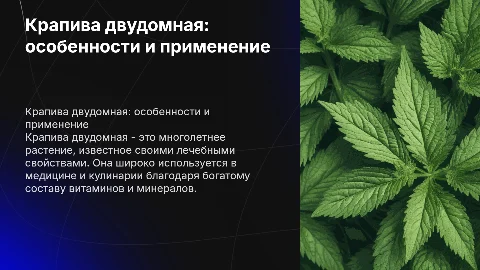 Крапива двудомная