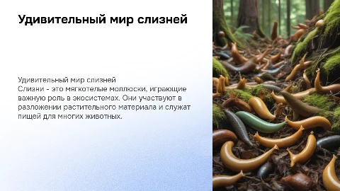 Слизни