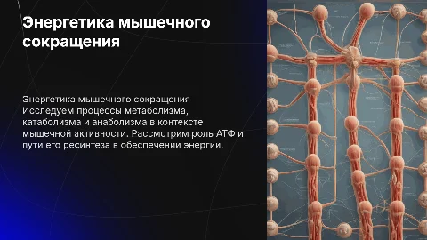 Энергетика мышечного сокращения и пути ресинтеза АТФ