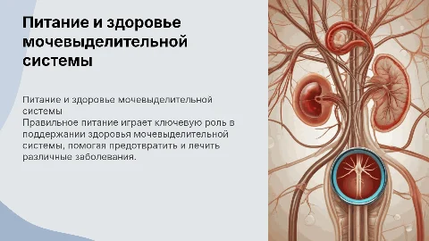 питание при заболеваниях мочевыделительной системы