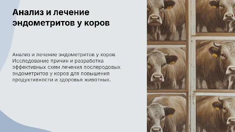Анализ причин и лечение эндометритов у коров