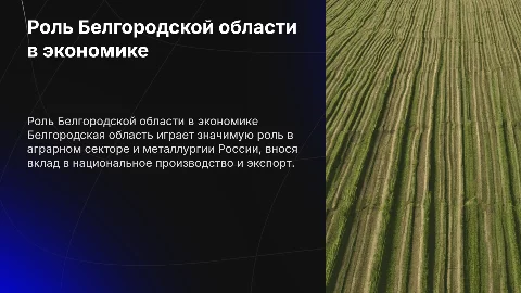 Оценка роли Белгородской области в национальной экономике