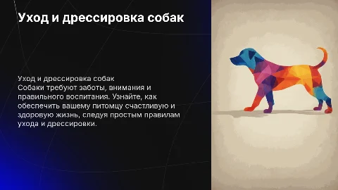 Как правильно ухаживать и дрессировать собаку