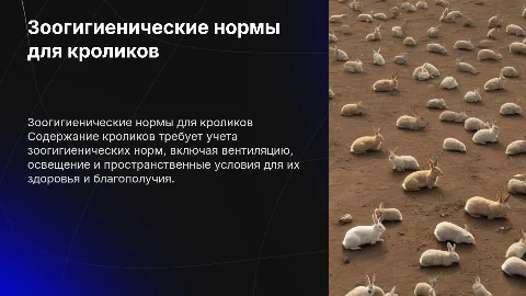 зоогигиенические требования к содержанию кроликов