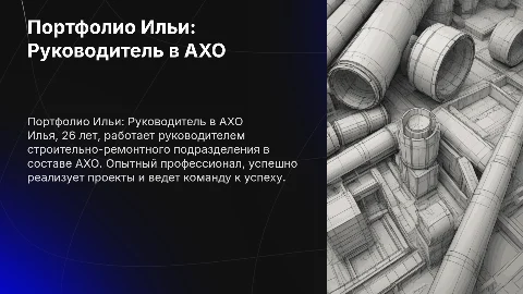 Портфолио Ильи: Руководитель в АХО