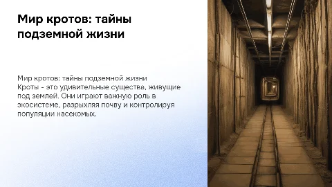 кроты