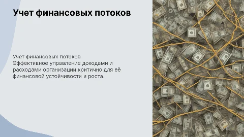 Учет доходов и расходов организации
