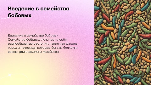 Семейство бобовых