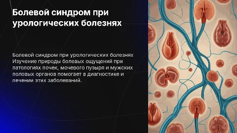Болевой синдром при заболеваниях почек и мочевого пузыря