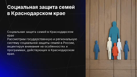 Государственная и региональная система социальной защиты семей