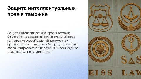защита интеллектуальных прав таможенных органов