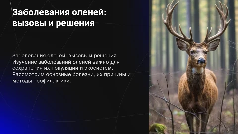 Заболевания оленей