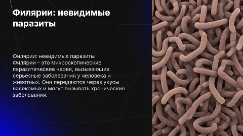 филярии