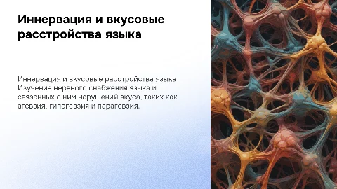 Иннервация языка.Агевзия.Гипогевзия.Парагевзия