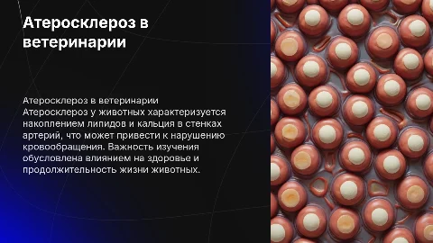 Атеросклероз в ветеринарии: общая характеристика
