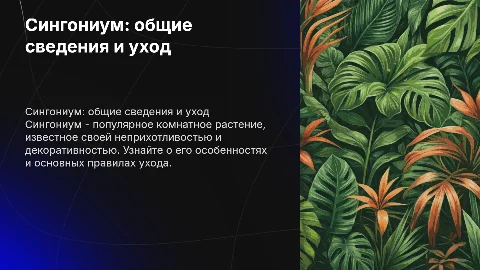 сингониум общие сведения и уход