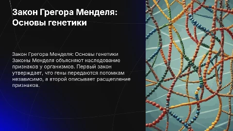 Закон Грегора Менделя Первый и Второй