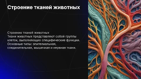 Строение тканей животных: описание и функции