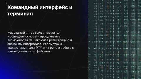 Командный интерфейс и терминал: основы и продвинутые возможности