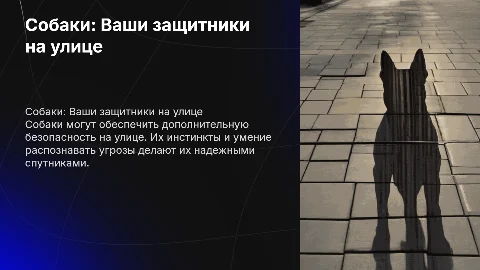 Собаки и безопасность на улице
