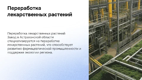 Завод по переработке лекарственных растений в астраханской области