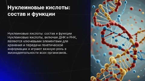 Нуклеиновые кислоты: состав и строение для студентов