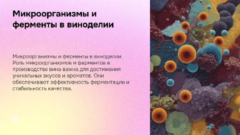 Применение микроорганизмов и ферментов в производстве вина