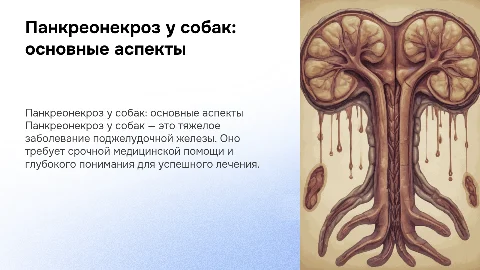 панкреонекроз собак