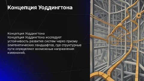 Концепция Уоддингтона о структурно-устойчивых путях развития