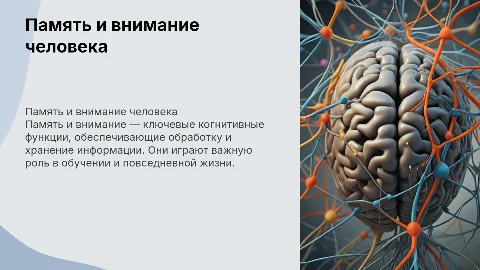 память и внимание
