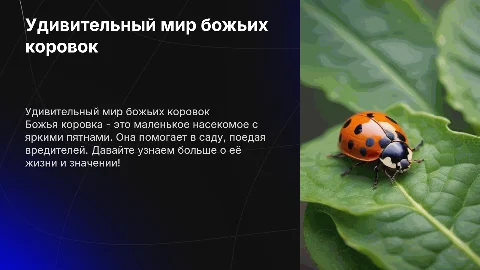 Презентация для детей 6-7 лет про божью коровку
