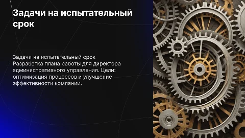 Задачи на испытательный срок для директора управления