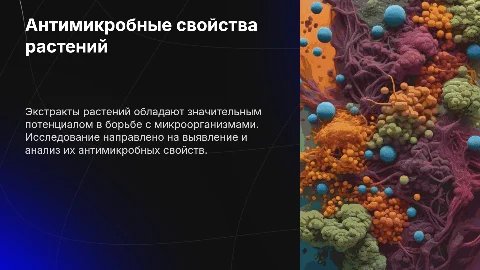 Исследование антимикробных свойств экстрактов растений