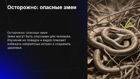 Осторожно змеи