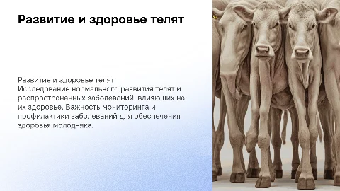 Нормы развития телят и их заболевания