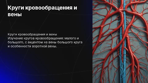 Круги кровообращения, вены большого круга и воротная вена