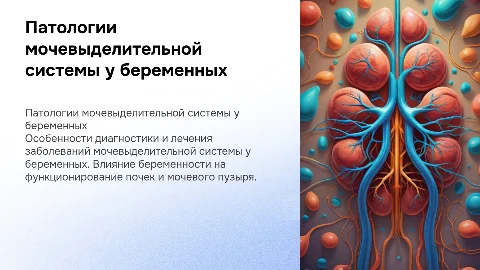 Патология мочевыделительной системы у беременных: особенности