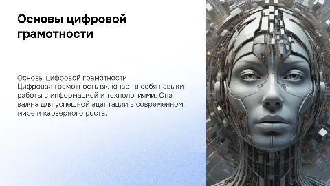 Цифровая грамотность