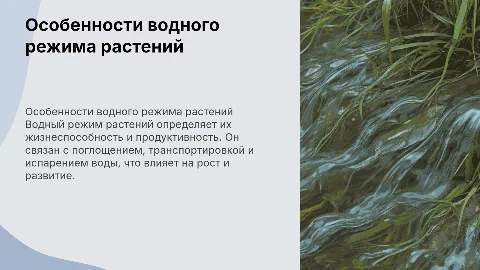 Особенности водного режима растений