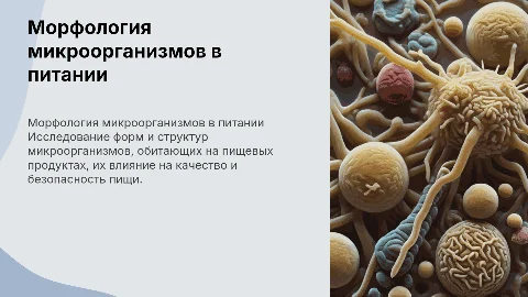Морфология микроорганизмов на пищевых продуктах