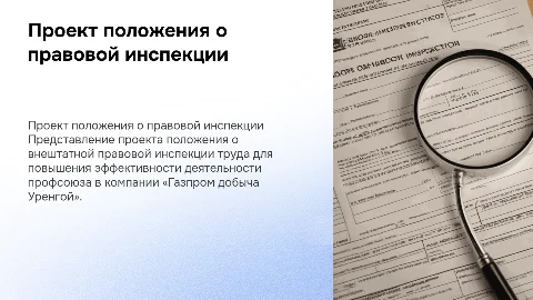 Проект положения о внештатной правовой инспекции труда