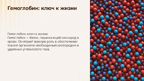гемоглобин и его роль в жизни организма
