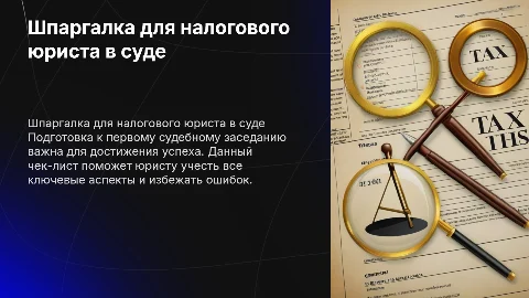Шпаргалка для налогового юриста при первом походе в суд