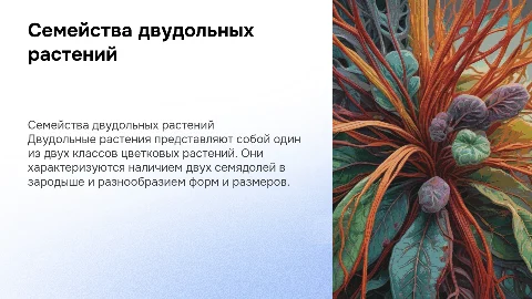 семейства двудольных растений