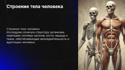 Строения тело человека