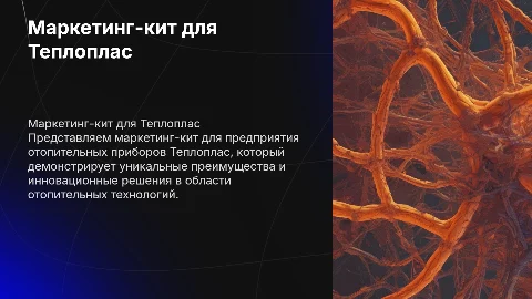 Маркетинг-кит для предприятия отопительных приборов Теплоплас