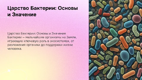 Царство Бактерии. Строение, разнообразие, роль
