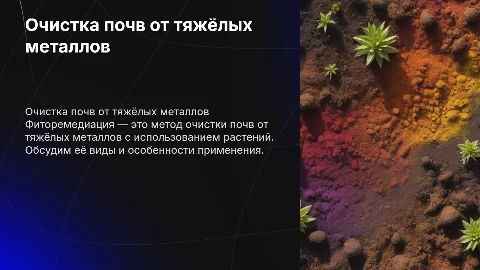 Способы очистки почв от тяжелых металлов и фиторемедиация