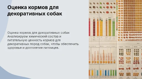 Оценка химического состава кормов для собак декоративных пород