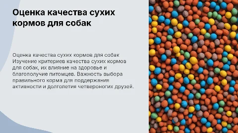 Оценка качества сухих кормов для собак